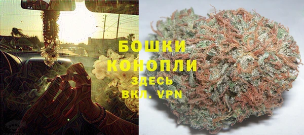 герыч Мегион