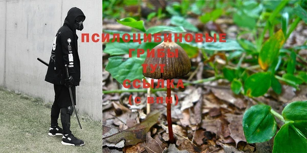 дживик Медвежьегорск