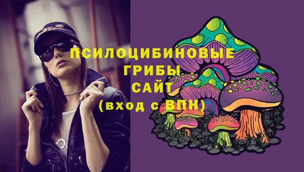 герыч Мегион