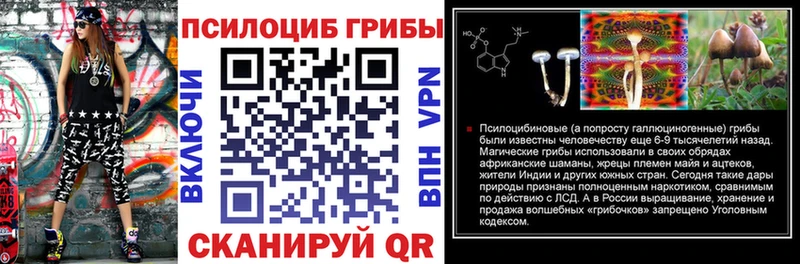 Псилоцибиновые грибы ЛСД  Партизанск 